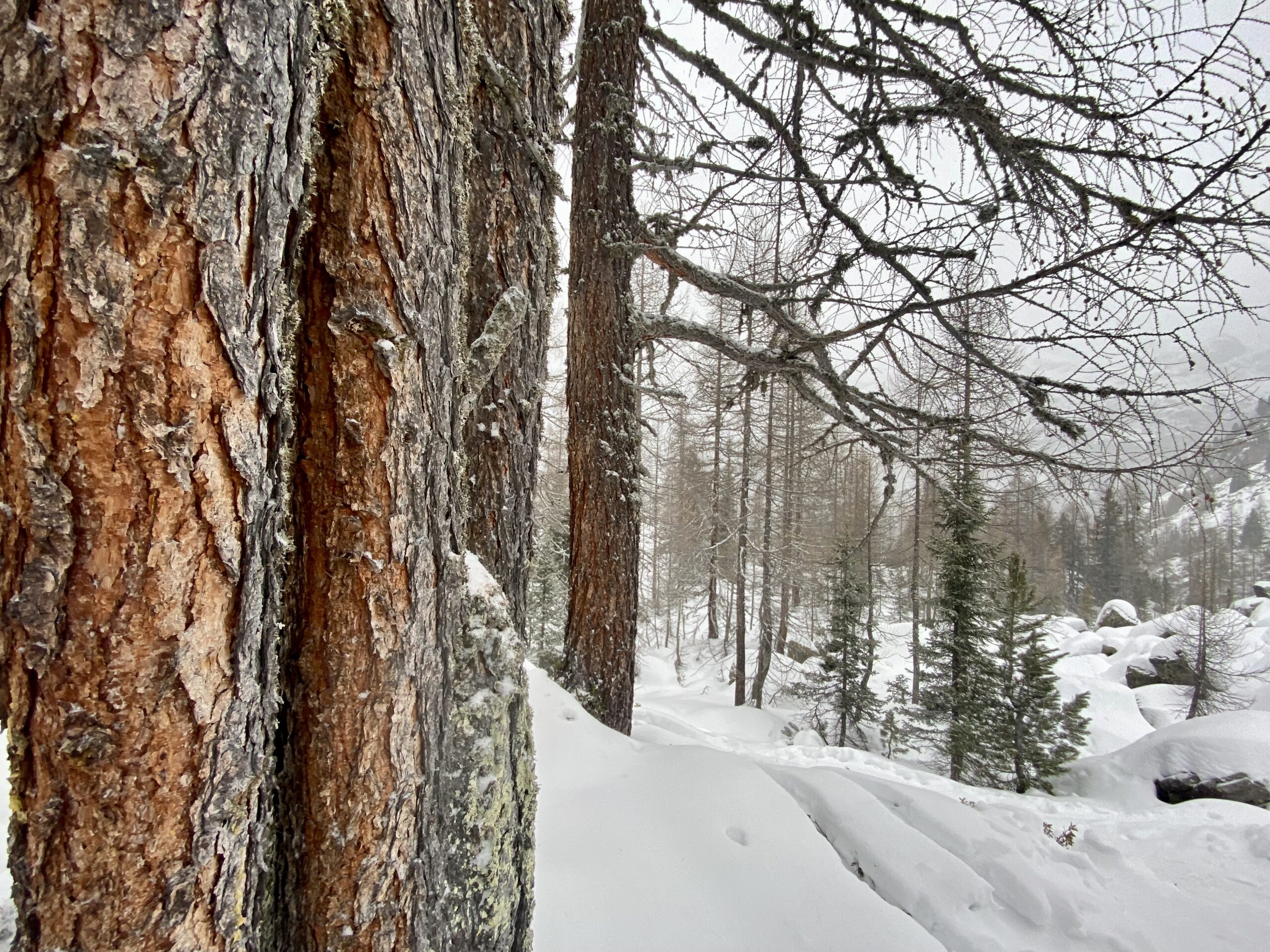 Chiesa in Valmalenco